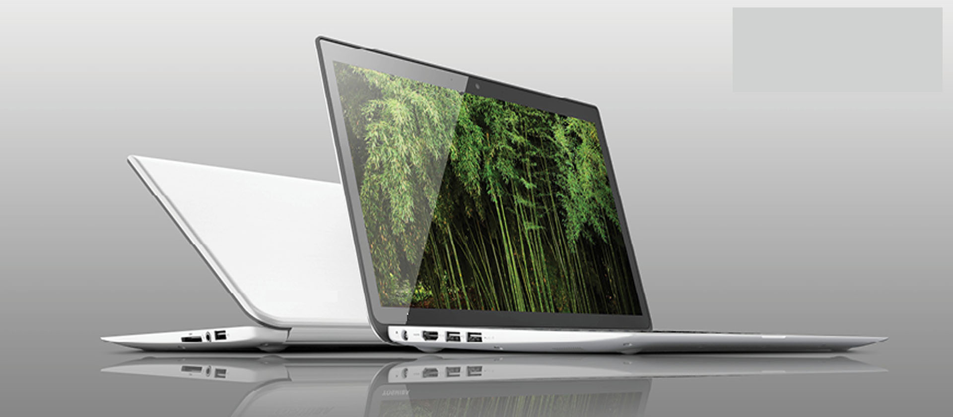 Toshiba Laptop service center in chennai